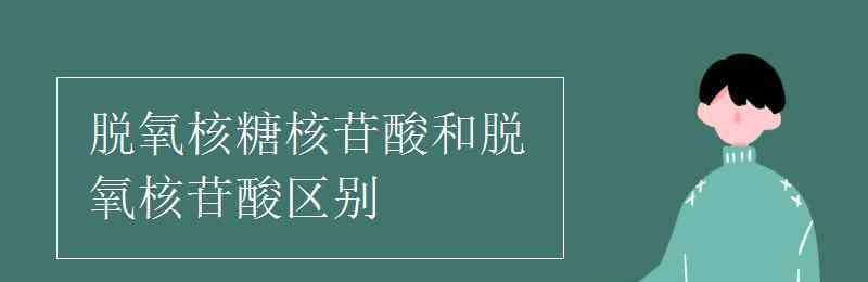 脫氧核糖核苷酸 脫氧核糖核苷酸和脫氧核苷酸區(qū)別