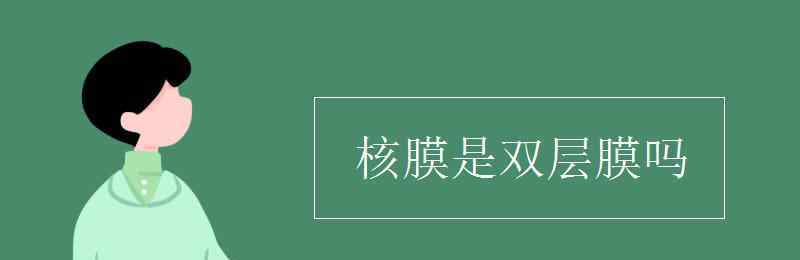 核膜是雙層膜嗎 核膜是雙層膜嗎