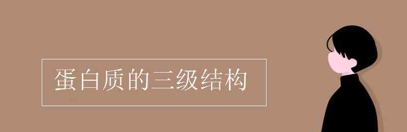 蛋白質(zhì)三級(jí)結(jié)構(gòu) 蛋白質(zhì)的三級(jí)結(jié)構(gòu)