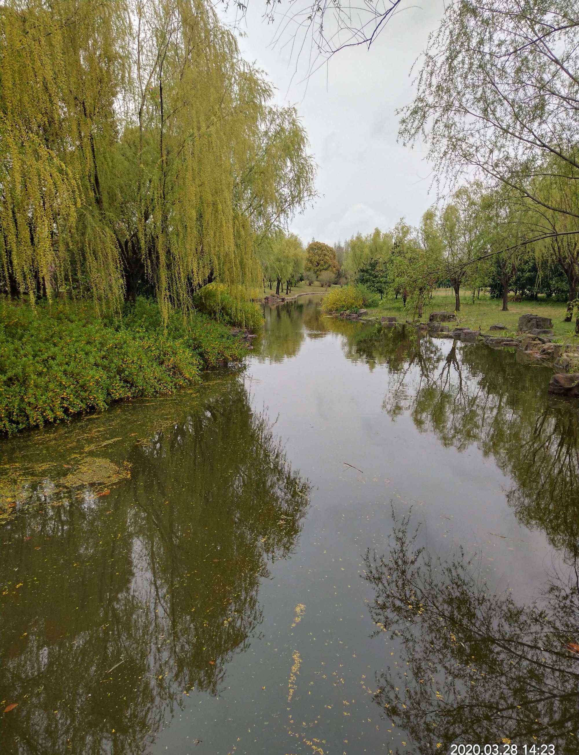 上海濱江森林公園 上海濱江森林公園