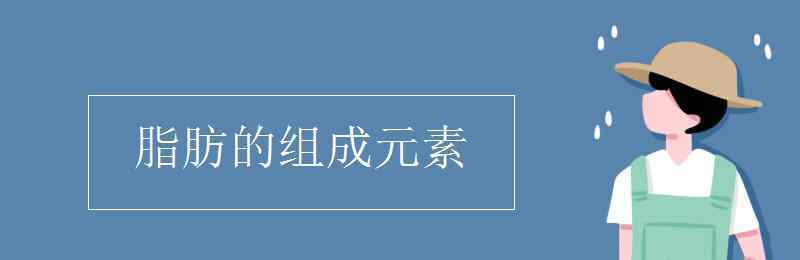 脂肪的組成元素 脂肪的組成元素