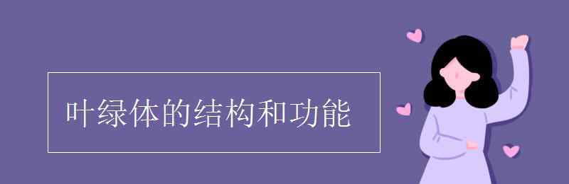 葉綠體的作用 葉綠體的結(jié)構(gòu)和功能