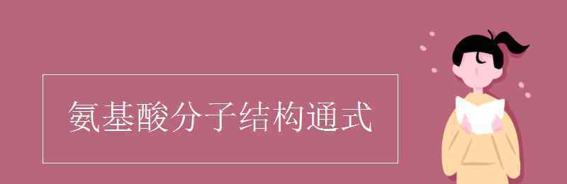 氨基酸結(jié)構(gòu)通式 氨基酸分子結(jié)構(gòu)通式