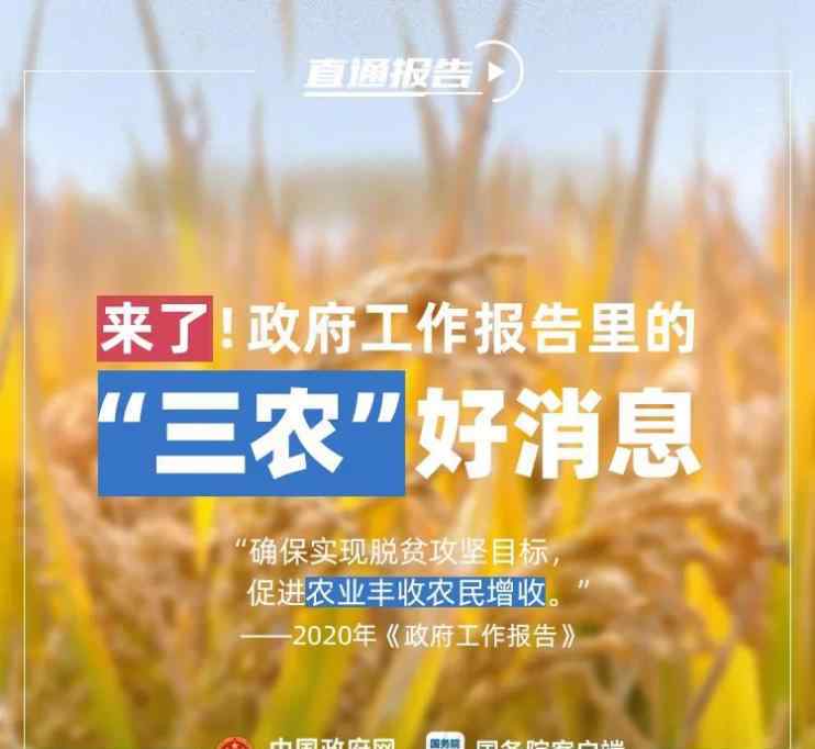 惠農(nóng)政策 【聚焦全國兩會(huì)】2020年有這些惠農(nóng)政策