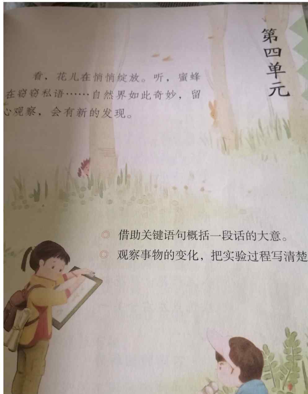 蜜蜂教學(xué)反思 三年級(jí)下冊(cè)《蜜蜂》教學(xué)反思