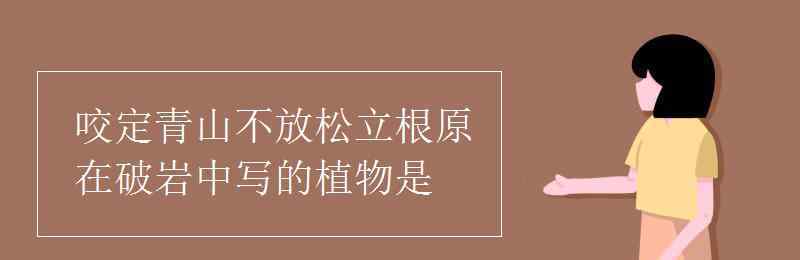 咬定青山不放松立根原在破巖中的意思 咬定青山不放松立根原在破巖中寫(xiě)的植物是