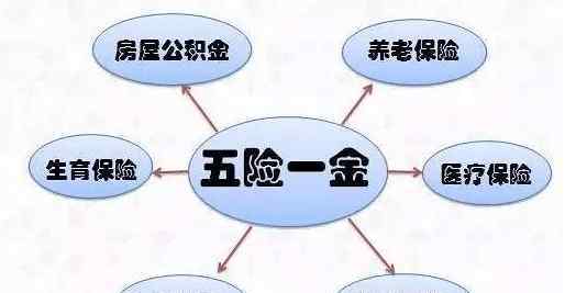 五險(xiǎn)一金可以自己交嗎 五險(xiǎn)一金可以自己交嗎？個(gè)人和單位繳納的區(qū)別是什么？