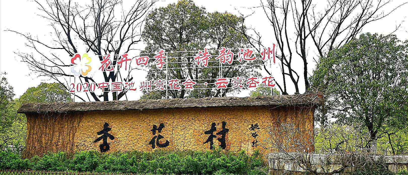 梁新生 春風(fēng)十里杏花村