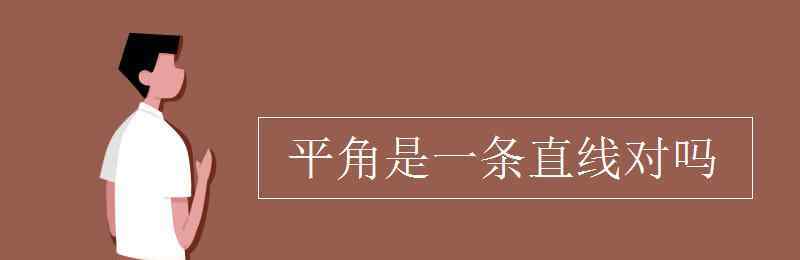 平角是一條直線對嗎 平角是一條直線對嗎