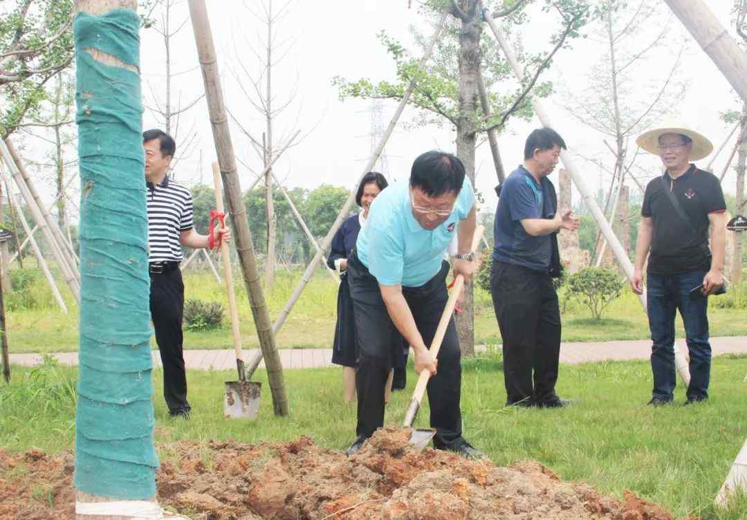 王興治 王興治院士親自栽下“院士樹”