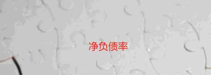 凈負(fù)債 凈負(fù)債率是什么意思，凈負(fù)債率有什么用？