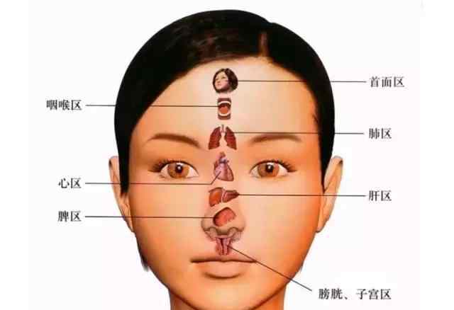 背部反射區(qū)與癥狀詳解