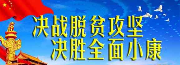 紅玫瑰葡萄 昭通昭陽：紅玫瑰葡萄豐收在望 期待一場甜蜜邂逅！