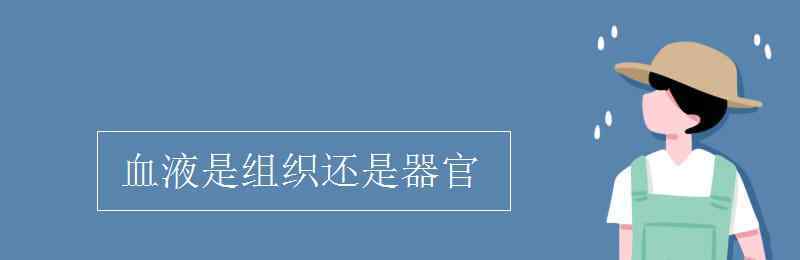 血液是組織還是器官 血液是組織還是器官