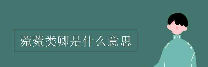 純元皇后為什么叫菀菀 菀菀類卿是什么意思