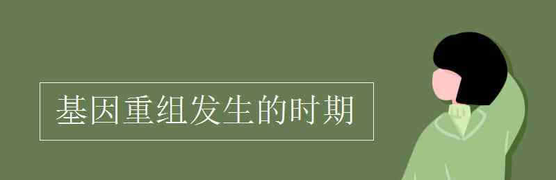 基因重組發(fā)生的時(shí)期 基因重組發(fā)生的時(shí)期