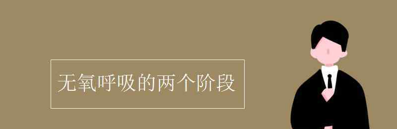 無氧呼吸的兩個階段 無氧呼吸的兩個階段