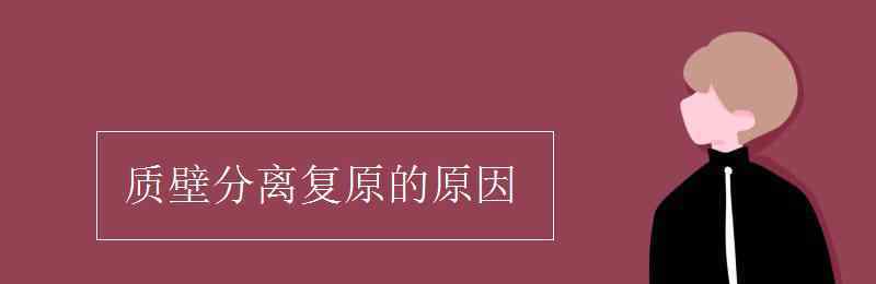 質(zhì)壁分離復(fù)原的原因 質(zhì)壁分離復(fù)原的原因