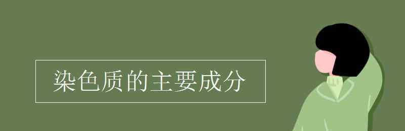 染色質(zhì)由什么組成 染色質(zhì)的主要成分