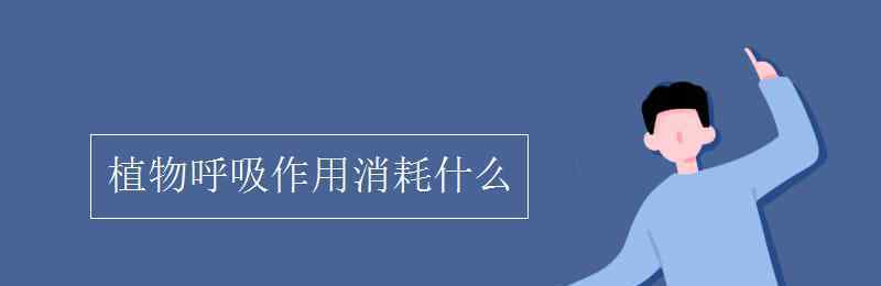 植物的呼吸作用 植物呼吸作用消耗什么