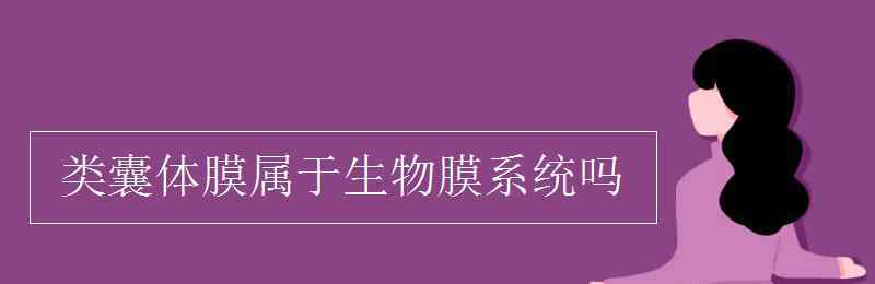 生物膜系統(tǒng) 類囊體膜屬于生物膜系統(tǒng)嗎