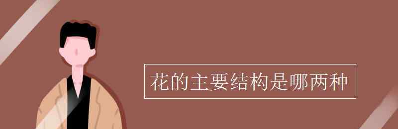 花的主要結構 花的主要結構是哪兩種