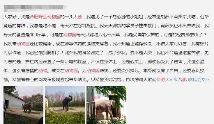 合肥動物園 “合肥野生動物園大象餓到皮包骨”？看看動物園發(fā)來的視頻