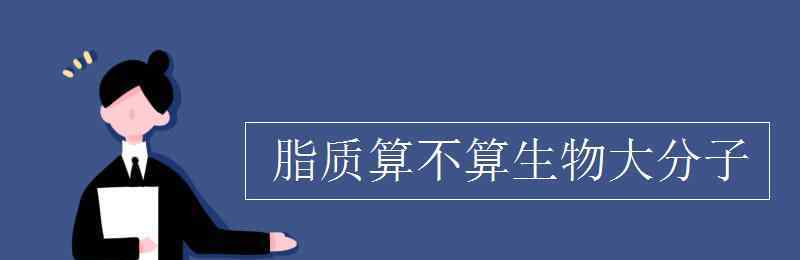 脂質(zhì)是生物大分子嗎 脂質(zhì)算不算生物大分子