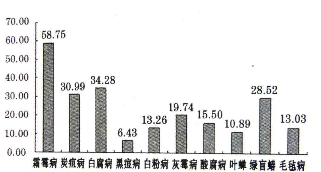 圖文解析葡萄十大病害