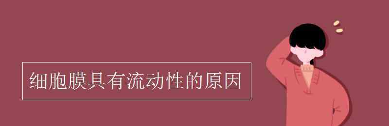 磷脂雙分子層親水疏水 細胞膜具有流動性的原因