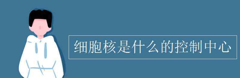 細(xì)胞核是什么的控制中心 細(xì)胞核是什么的控制中心