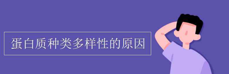 蛋白質(zhì)多樣性的原因 蛋白質(zhì)種類(lèi)多樣性的原因