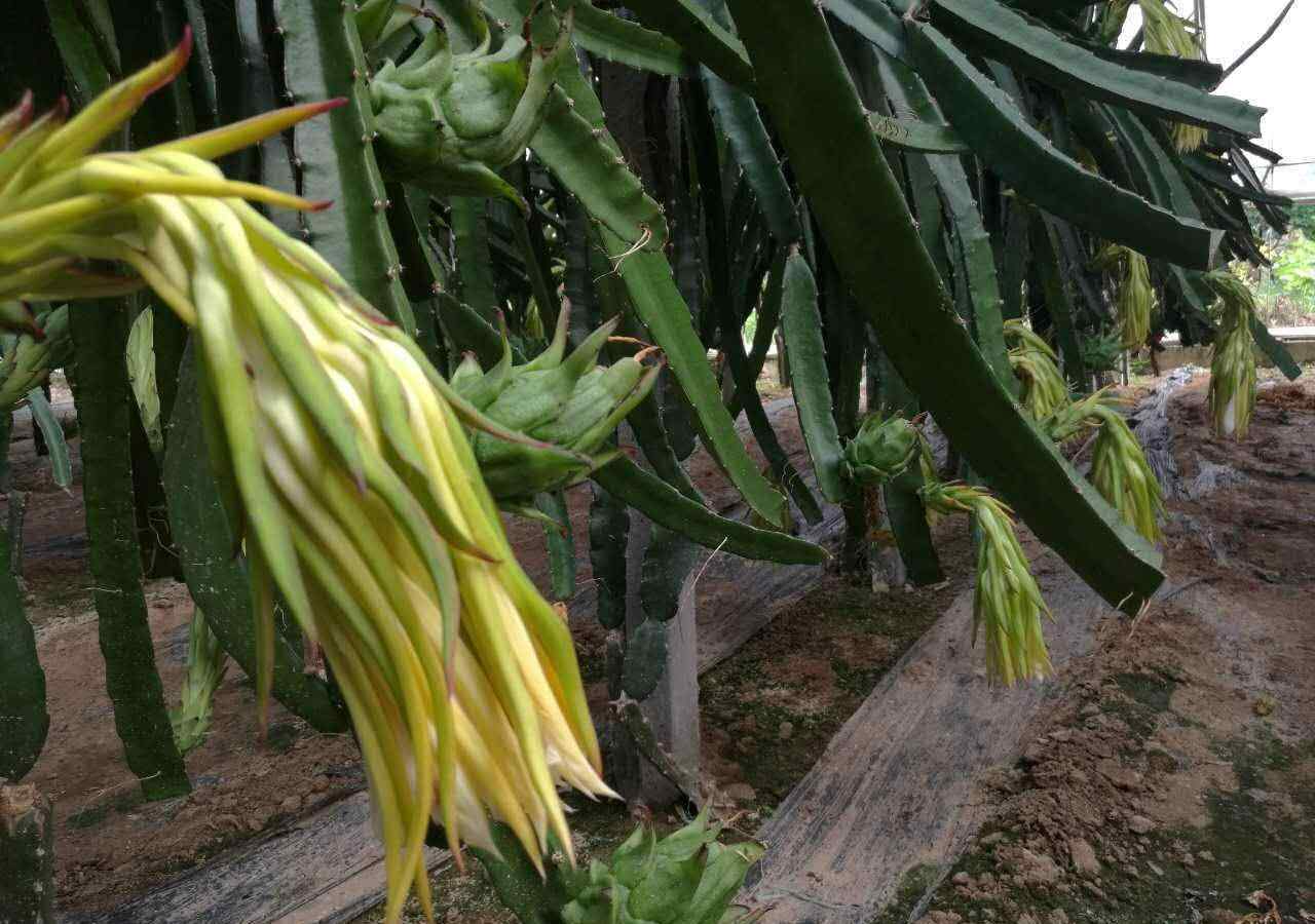 臨沂龍園休閑娛樂旅游度假區(qū)