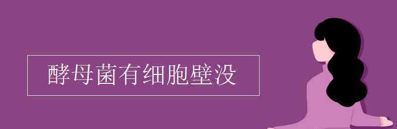 酵母菌有細胞壁嗎 酵母菌有細胞壁沒