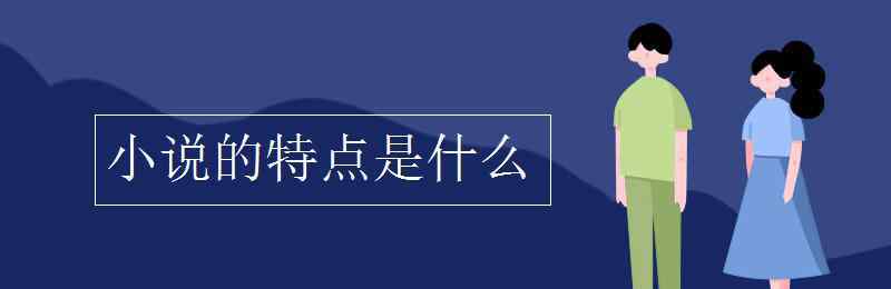 小說的特點 小說的特點是什么