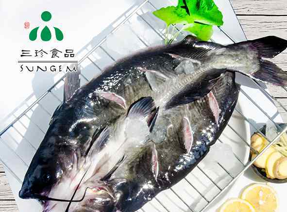 開(kāi)背魚(yú)是啥魚(yú)?