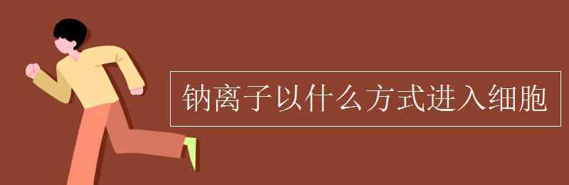 鈉離子 鈉離子以什么方式進(jìn)入細(xì)胞