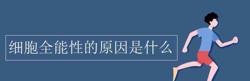 細胞全能性的原因 細胞全能性的原因是什么