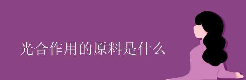 光合作用的原料 光合作用的原料是什么