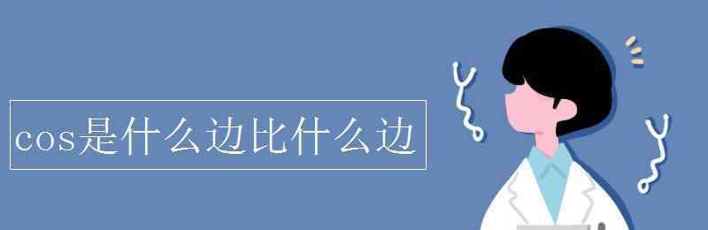 cos是什么比什么 cos是什么邊比什么邊