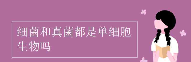 細菌是單細胞生物嗎 細菌和真菌都是單細胞生物嗎