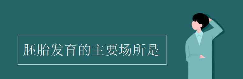 胚胎發(fā)育的場所 胚胎發(fā)育的主要場所是