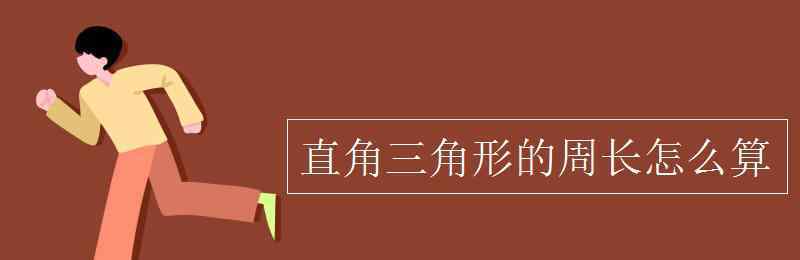 周長怎么計算 直角三角形的周長怎么算