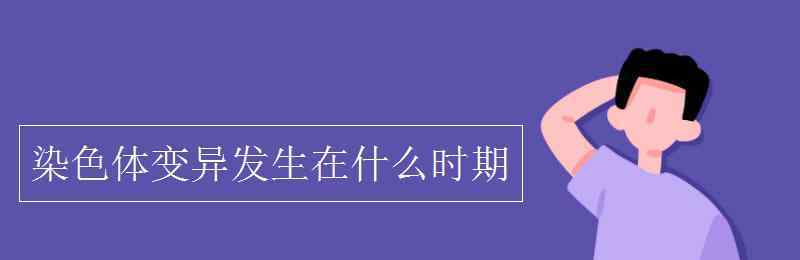 染色體變異發(fā)生在什么時期 染色體變異發(fā)生在什么時期