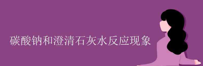 二氧化碳和澄清石灰水反應方程式 碳酸鈉和澄清石灰水反應現(xiàn)象