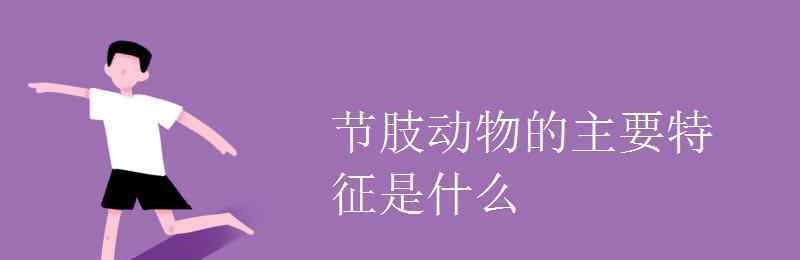 節(jié)肢動物的主要特征 節(jié)肢動物的主要特征是什么