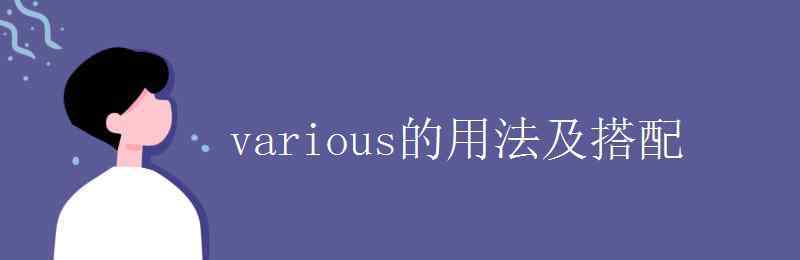 various名詞 various的用法及搭配