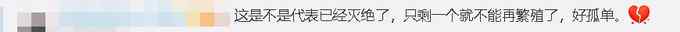 防止被盜 全球最后一只白色長頸鹿被“定位” 網(wǎng)友：它看起來好孤單啊