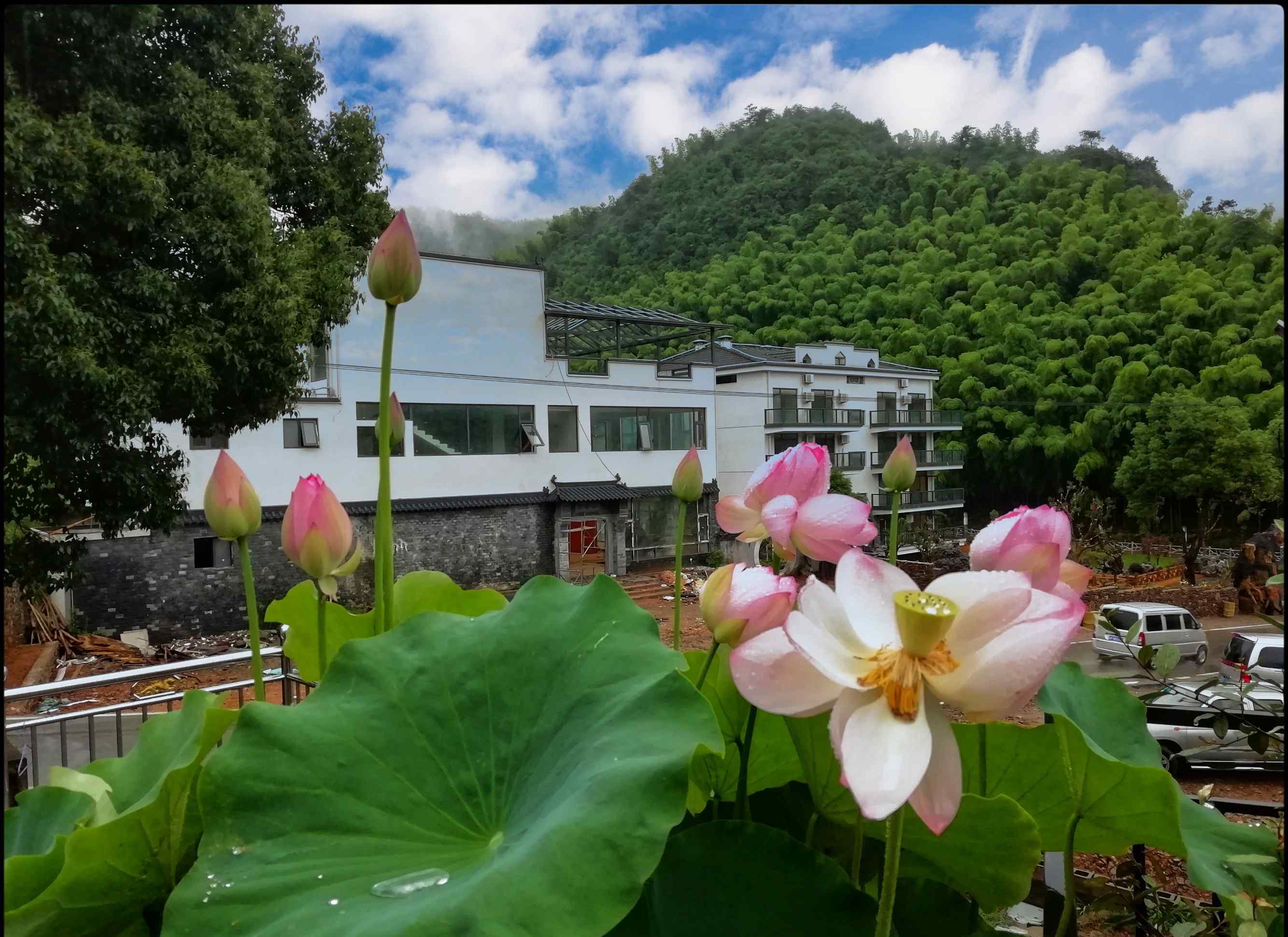 月亮灣度假村 皖南風(fēng)景系列-川藏線月亮灣生態(tài)度假村酒店