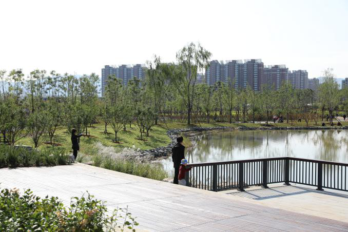 建筑垃圾竟能“堆山造景”！密云這片裸露土地變身“美麗花海”